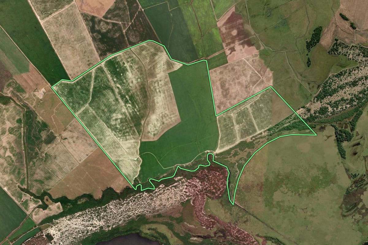 Imagem de satélite do imóvel rural em São Lourenço do Sul (RS), com o contorno declarado no CAR desenhado por cima.