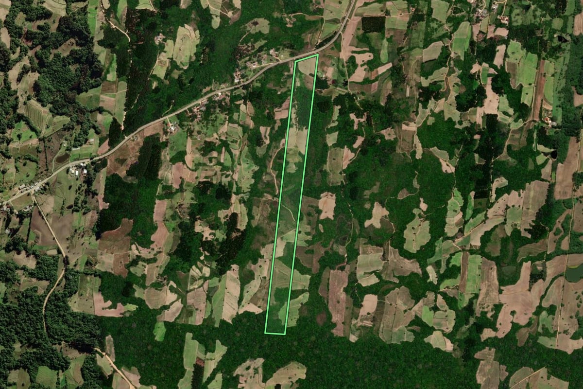 Imagem de satélite do imóvel rural em São Lourenço do Sul (RS), com o contorno declarado no CAR desenhado por cima.