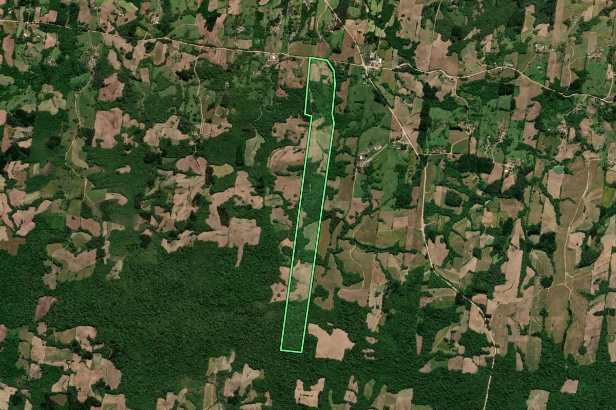 Imagem de satélite do imóvel rural em São Lourenço do Sul (RS), com o contorno declarado no CAR desenhado por cima.