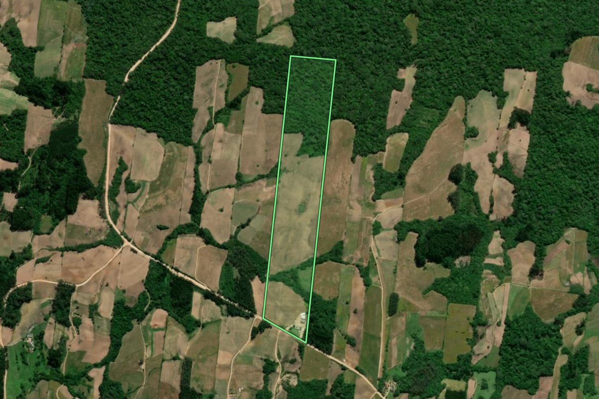 Imagem de satélite do imóvel rural em São Lourenço do Sul (RS), com o contorno declarado no CAR desenhado por cima.