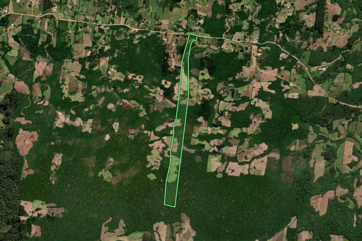 Imagem de satélite do imóvel rural em São Lourenço do Sul (RS), com o contorno declarado no CAR desenhado por cima.