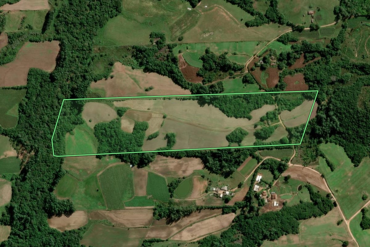 Imagem de satélite do imóvel rural em São Lourenço do Sul (RS), com o contorno declarado no CAR desenhado por cima.