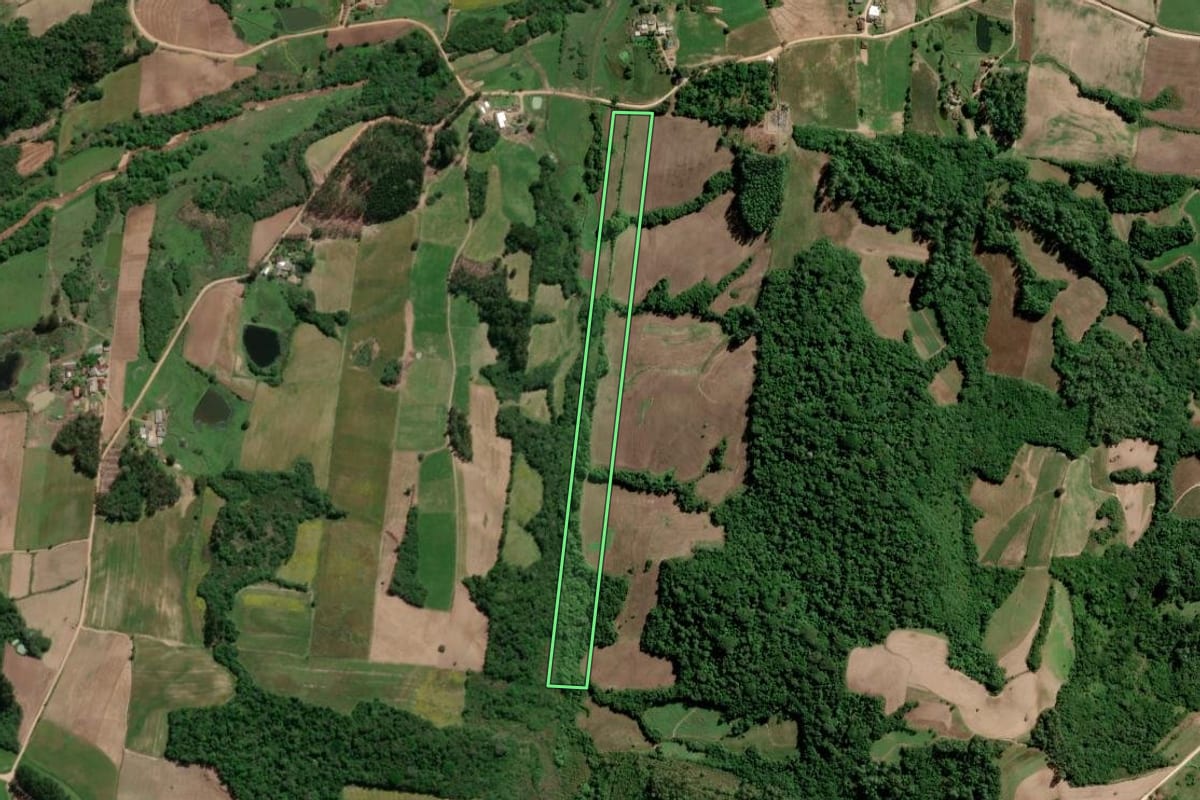Imagem de satélite do imóvel rural em São Lourenço do Sul (RS), com o contorno declarado no CAR desenhado por cima.