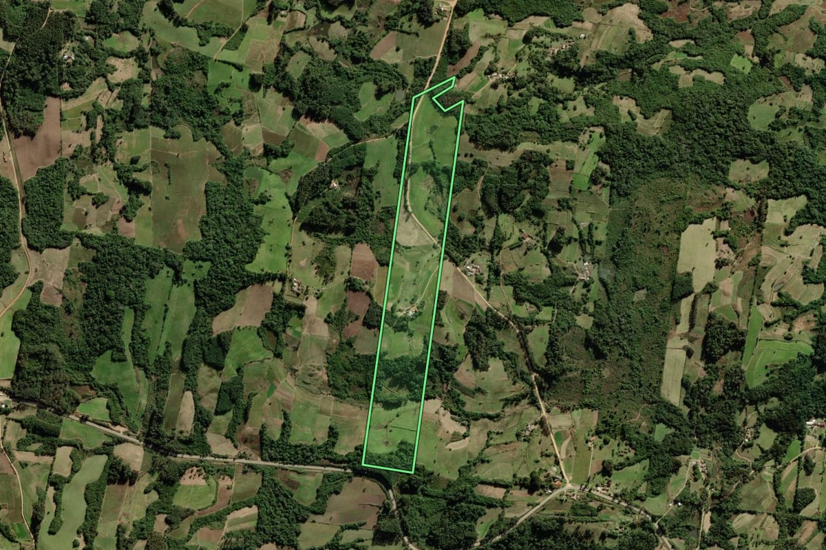 Imagem de satélite do imóvel rural em São Lourenço do Sul (RS), com o contorno declarado no CAR desenhado por cima.