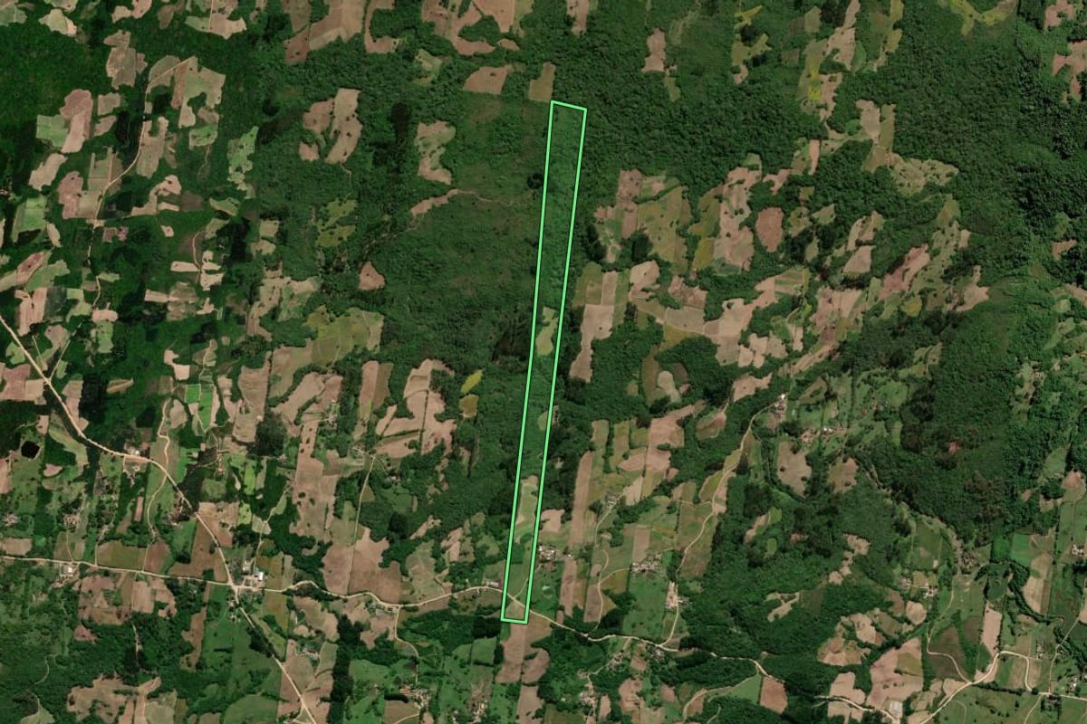 Imagem de satélite do imóvel rural em São Lourenço do Sul (RS), com o contorno declarado no CAR desenhado por cima.
