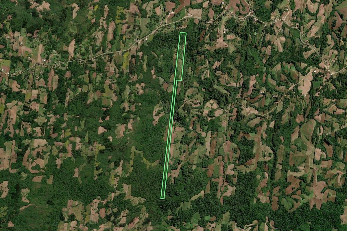 Imagem de satélite do imóvel rural em São Lourenço do Sul (RS), com o contorno declarado no CAR desenhado por cima.