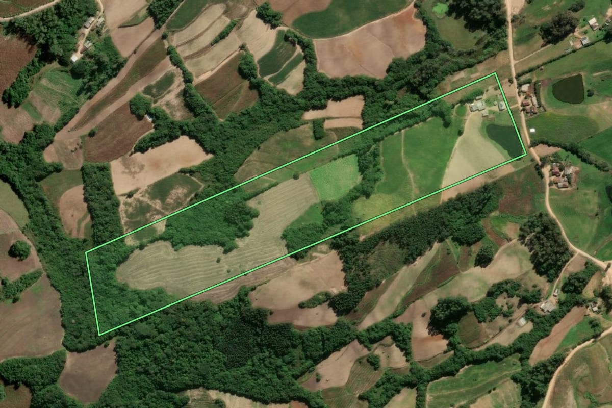Imagem de satélite do imóvel rural em São Lourenço do Sul (RS), com o contorno declarado no CAR desenhado por cima.