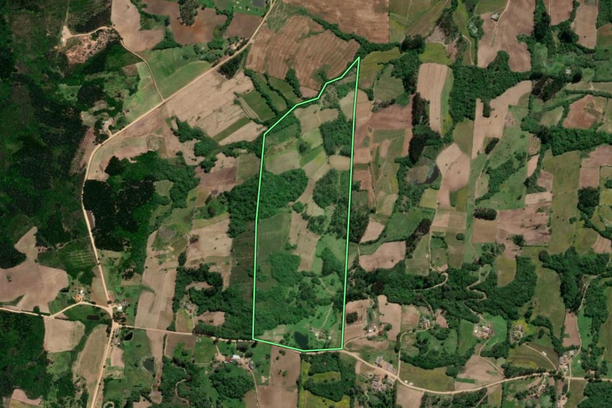 Imagem de satélite do imóvel rural em São Lourenço do Sul (RS), com o contorno declarado no CAR desenhado por cima.