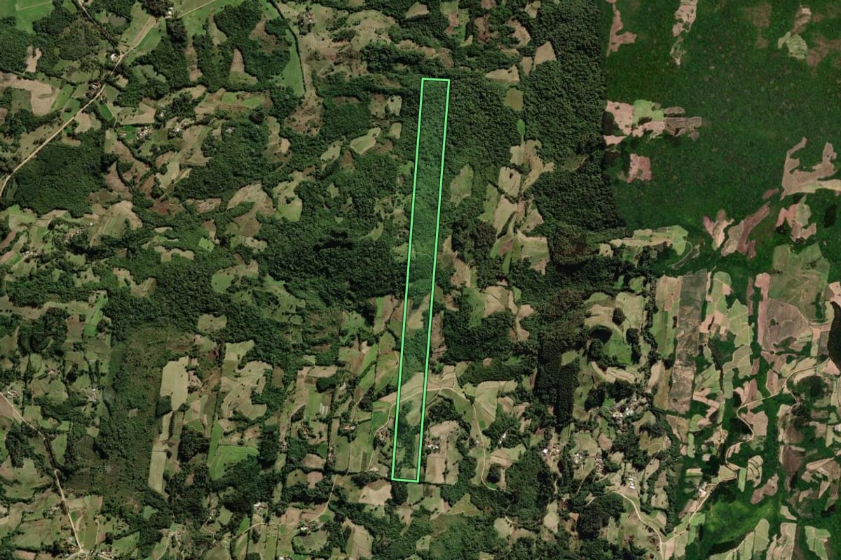 Imagem de satélite do imóvel rural em São Lourenço do Sul (RS), com o contorno declarado no CAR desenhado por cima.