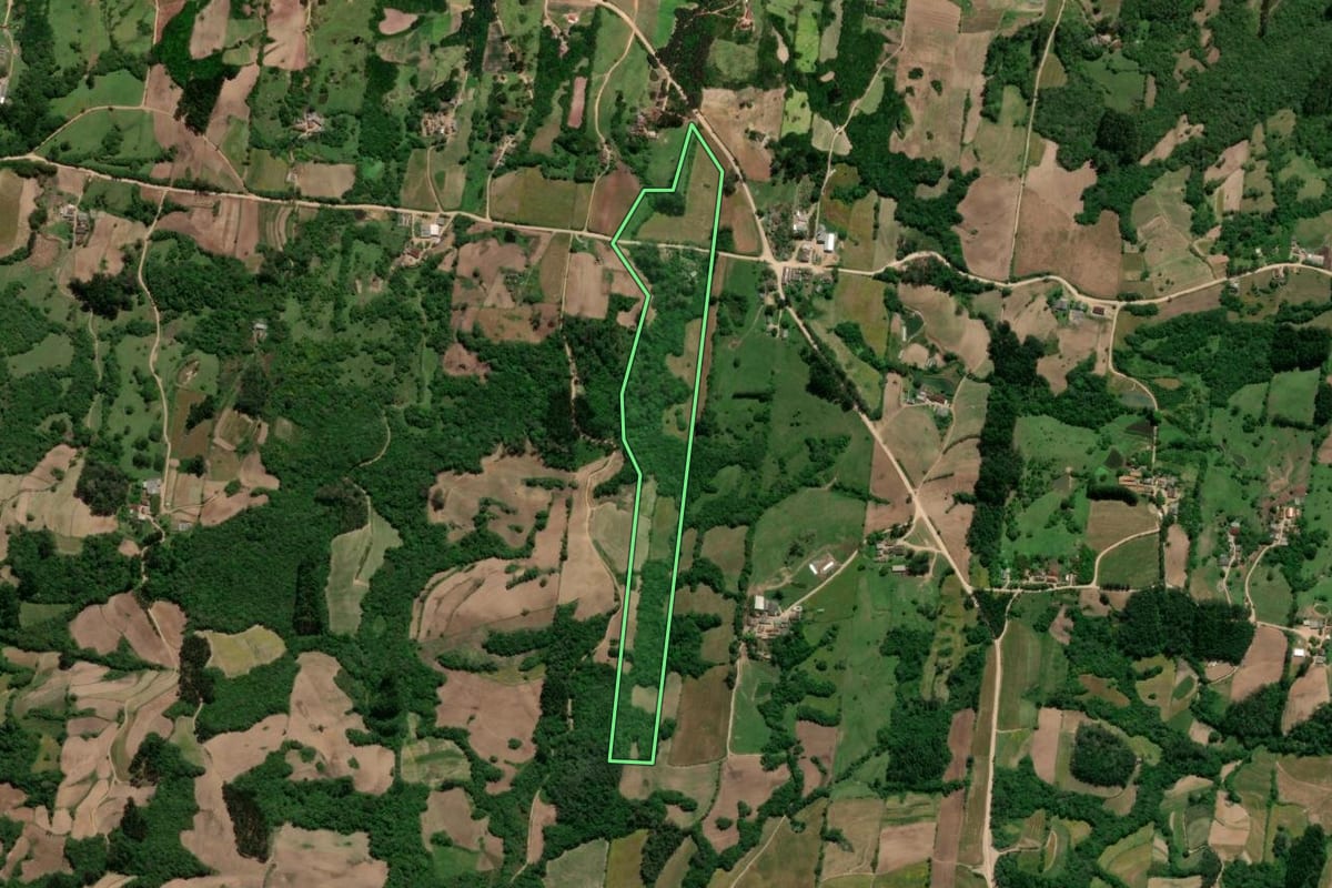 Imagem de satélite do imóvel rural em São Lourenço do Sul (RS), com o contorno declarado no CAR desenhado por cima.
