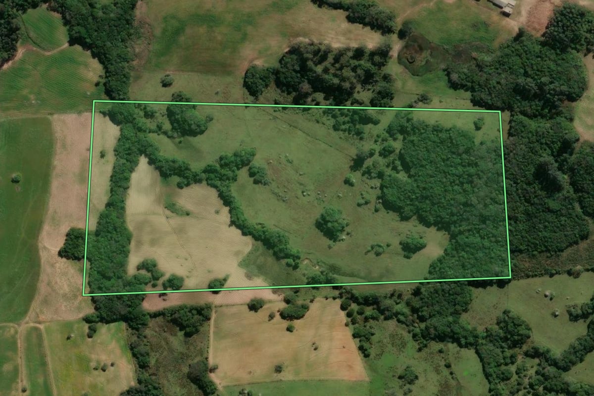Imagem de satélite do imóvel rural em São Lourenço do Sul (RS), com o contorno declarado no CAR desenhado por cima.