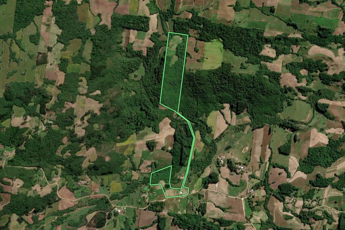 Imagem de satélite do imóvel rural em São Lourenço do Sul (RS), com o contorno declarado no CAR desenhado por cima.