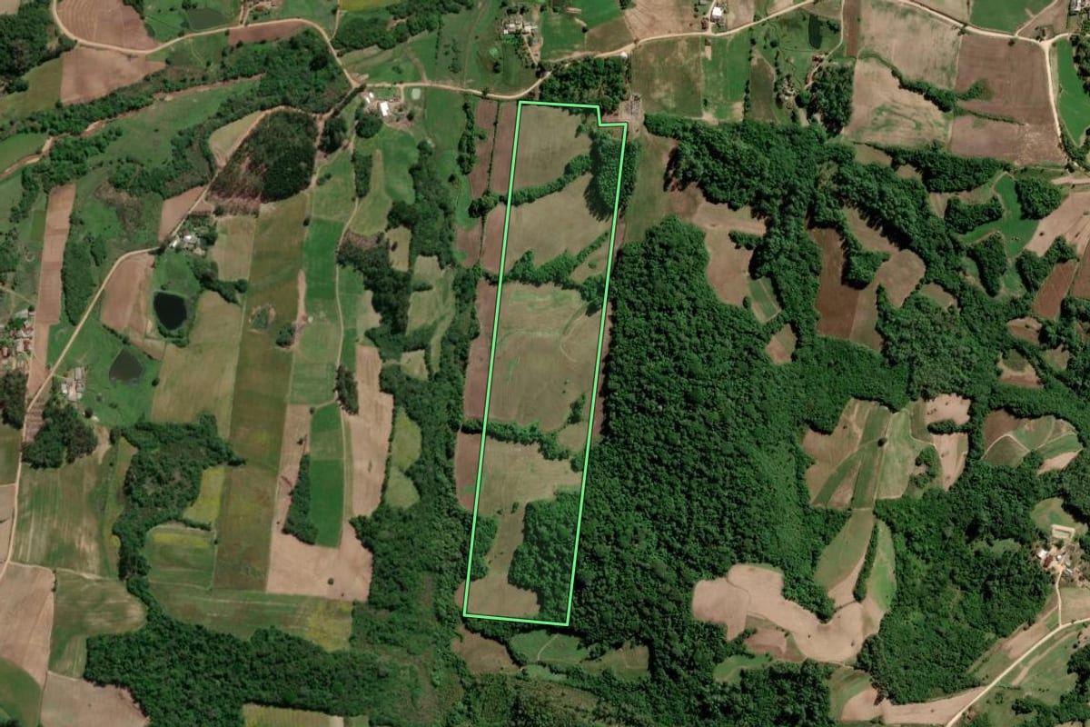 Imagem de satélite do imóvel rural em São Lourenço do Sul (RS), com o contorno declarado no CAR desenhado por cima.