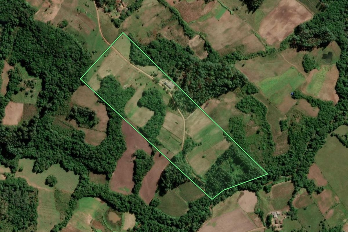 Imagem de satélite do imóvel rural em São Lourenço do Sul (RS), com o contorno declarado no CAR desenhado por cima.