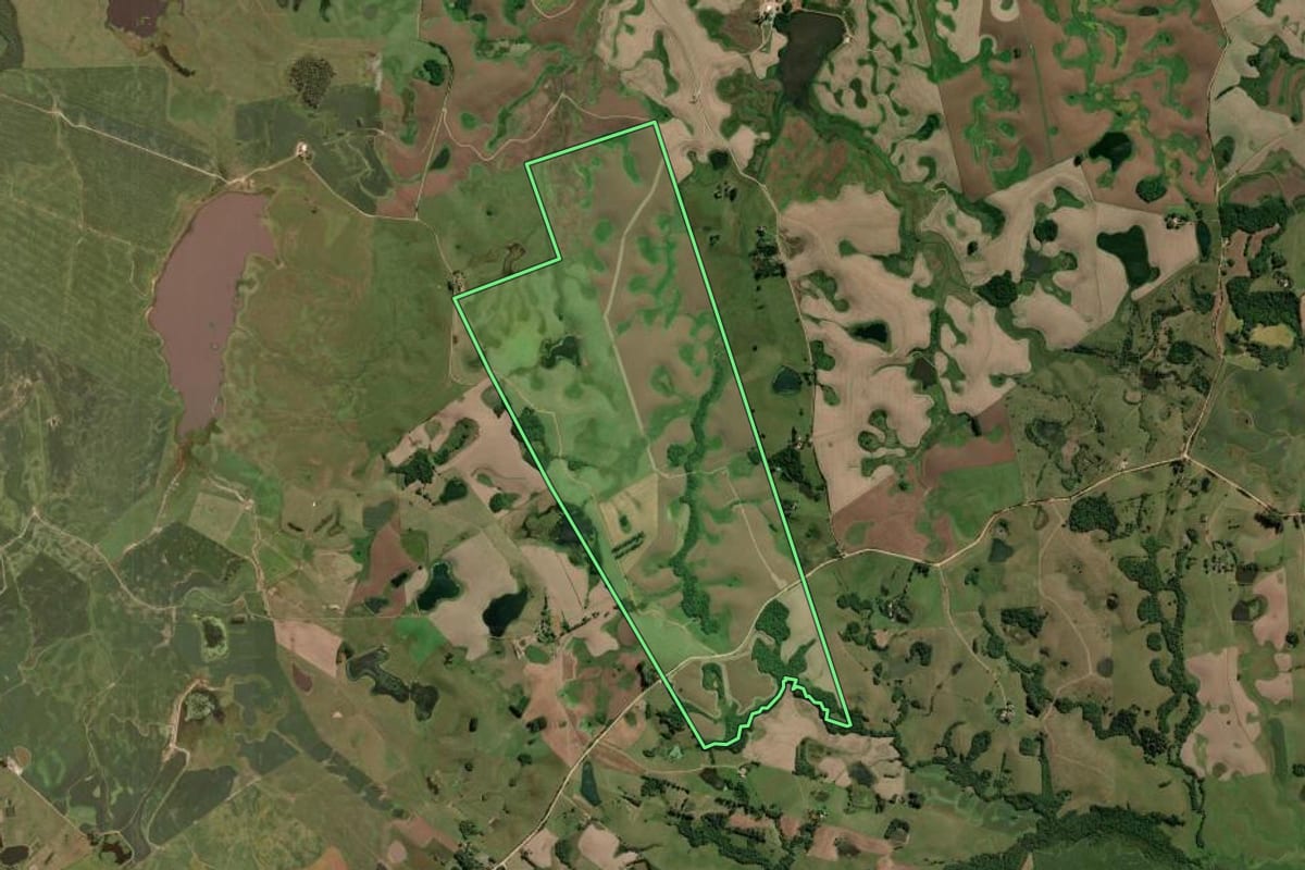 Imagem de satélite do imóvel rural em São Lourenço do Sul (RS), com o contorno declarado no CAR desenhado por cima.