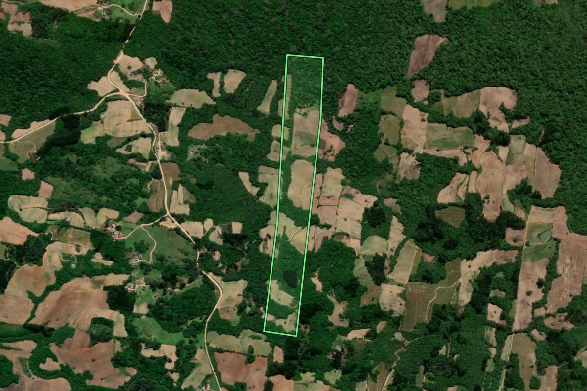 Imagem de satélite do imóvel rural em São Lourenço do Sul (RS), com o contorno declarado no CAR desenhado por cima.