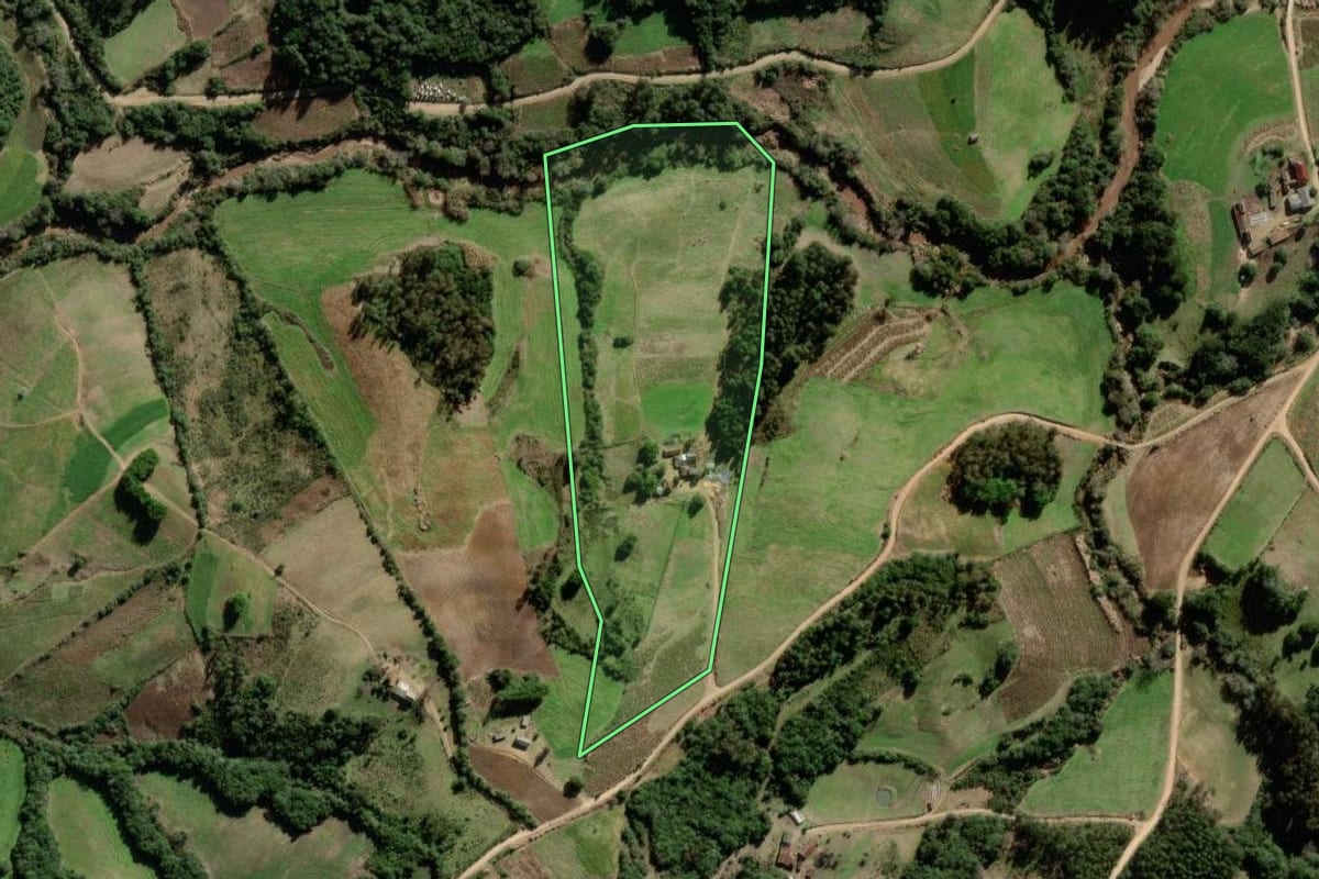 Imagem de satélite do imóvel rural em São Lourenço do Sul (RS), com o contorno declarado no CAR desenhado por cima.