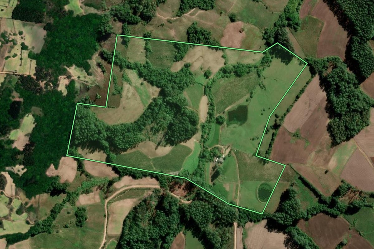 Imagem de satélite do imóvel rural em São Lourenço do Sul (RS), com o contorno declarado no CAR desenhado por cima.