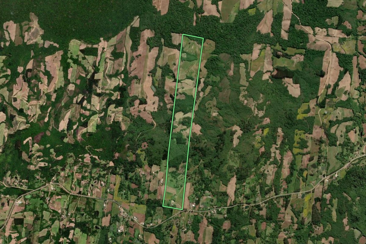 Imagem de satélite do imóvel rural em São Lourenço do Sul (RS), com o contorno declarado no CAR desenhado por cima.
