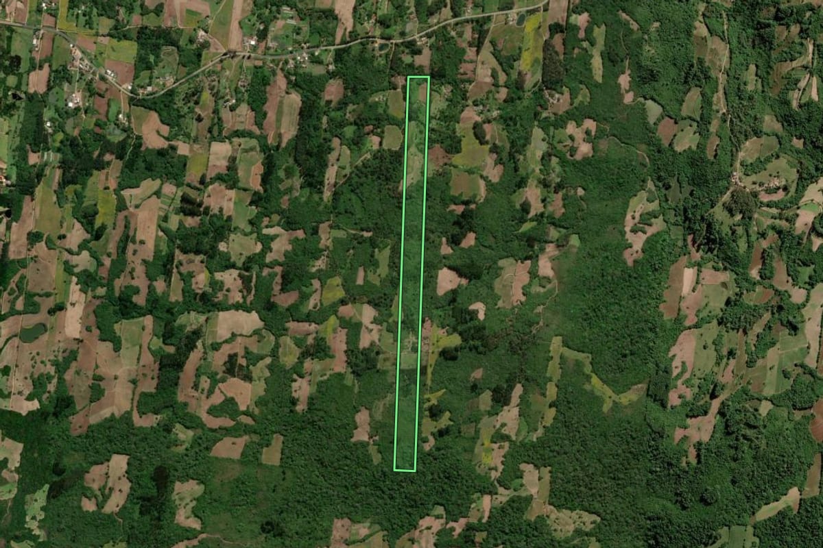 Imagem de satélite do imóvel rural em São Lourenço do Sul (RS), com o contorno declarado no CAR desenhado por cima.