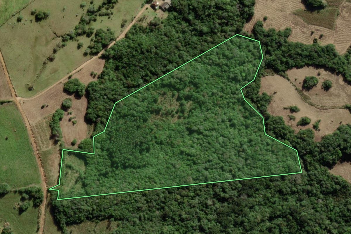 Imagem de satélite do imóvel rural em São Lourenço do Sul (RS), com o contorno declarado no CAR desenhado por cima.