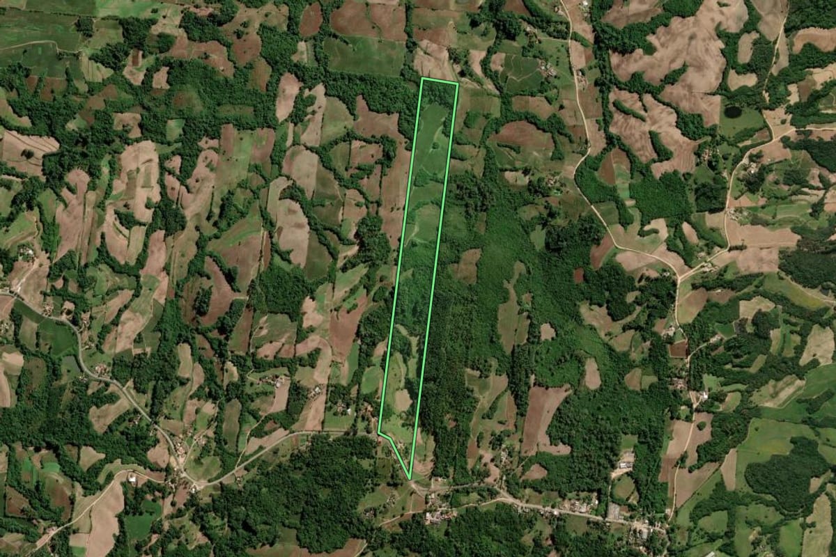 Imagem de satélite do imóvel rural em São Lourenço do Sul (RS), com o contorno declarado no CAR desenhado por cima.