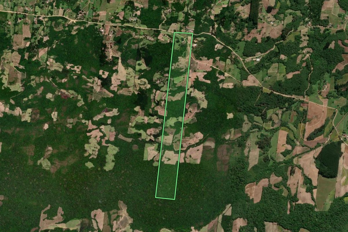 Imagem de satélite do imóvel rural em São Lourenço do Sul (RS), com o contorno declarado no CAR desenhado por cima.