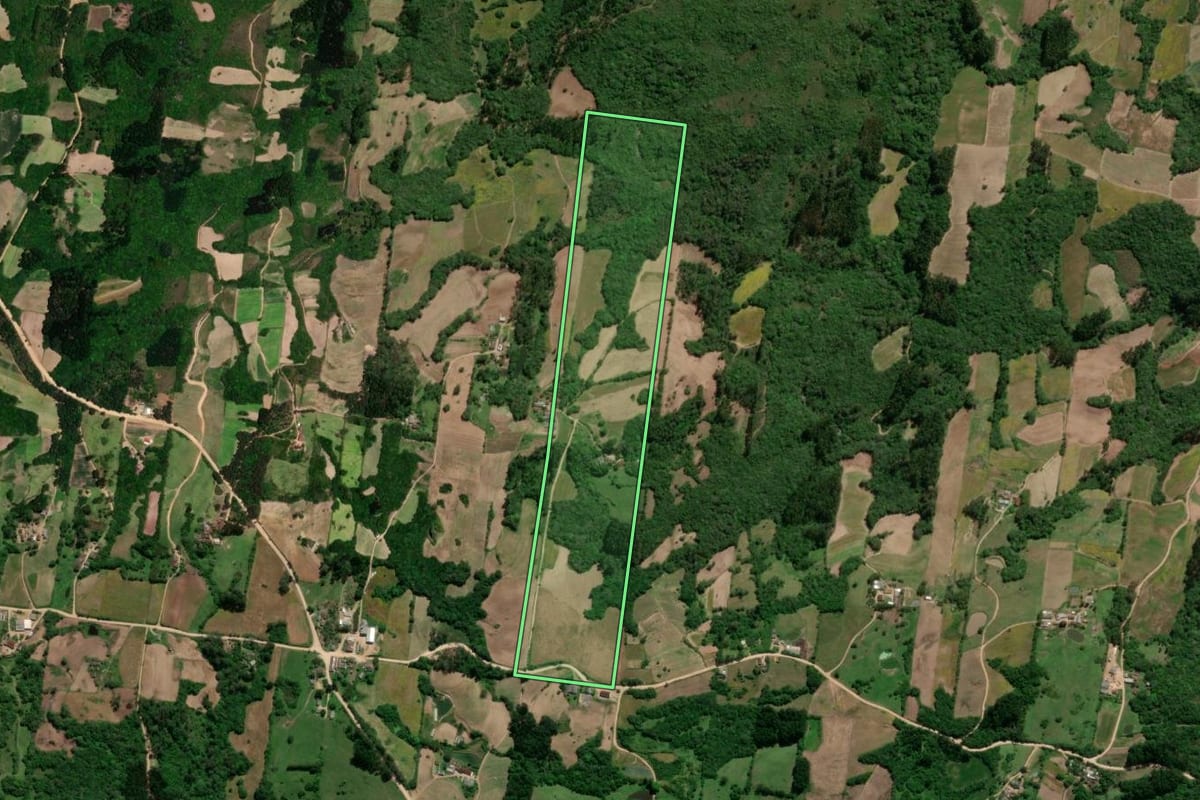 Imagem de satélite do imóvel rural em São Lourenço do Sul (RS), com o contorno declarado no CAR desenhado por cima.