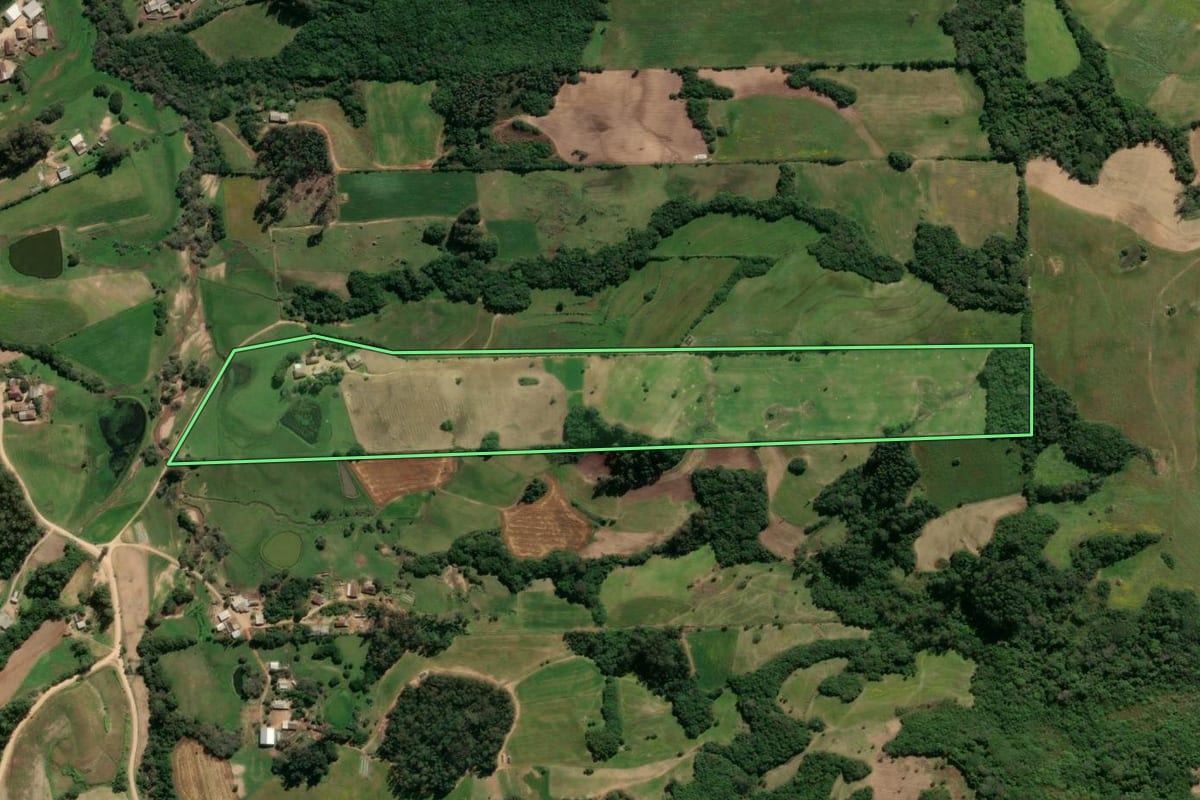 Imagem de satélite do imóvel rural em São Lourenço do Sul (RS), com o contorno declarado no CAR desenhado por cima.