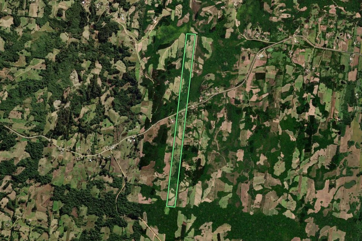 Imagem de satélite do imóvel rural em São Lourenço do Sul (RS), com o contorno declarado no CAR desenhado por cima.