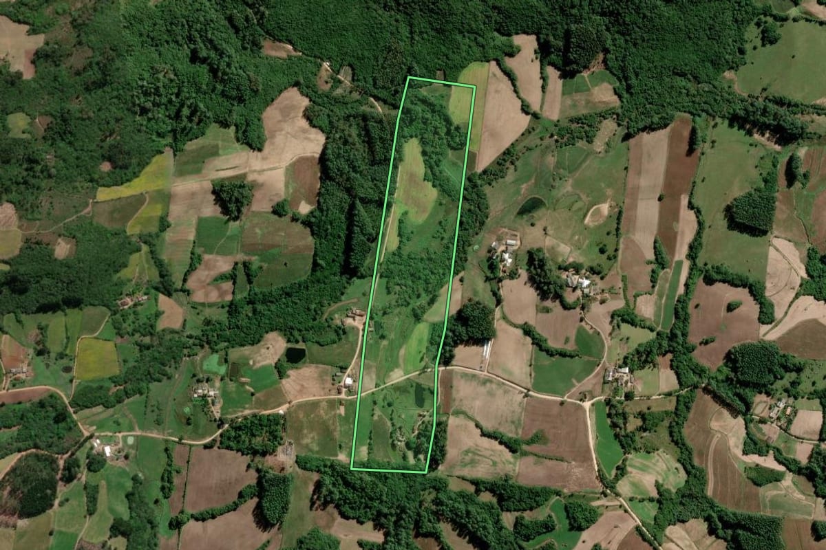 Imagem de satélite do imóvel rural em São Lourenço do Sul (RS), com o contorno declarado no CAR desenhado por cima.