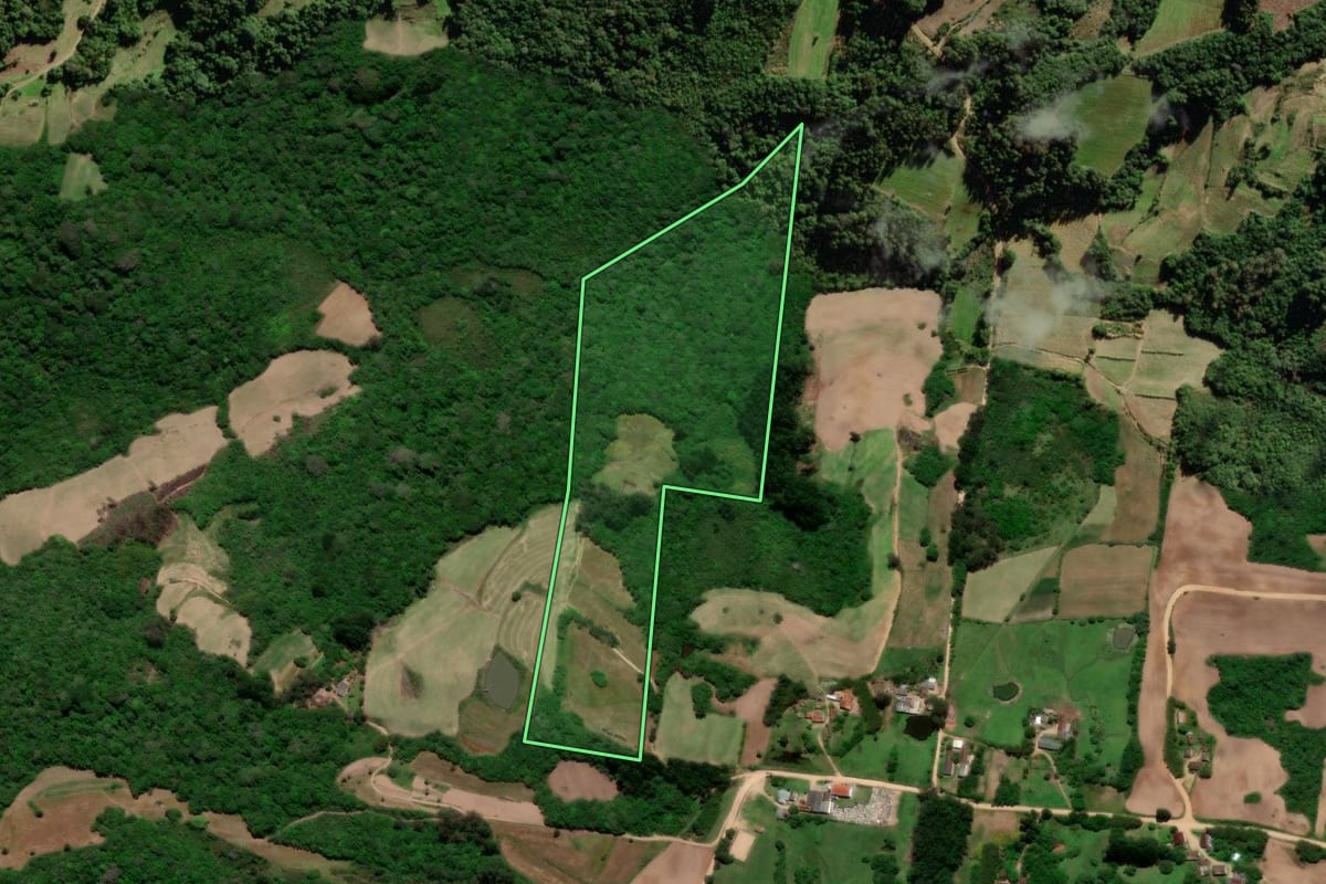 Imagem de satélite do imóvel rural em São Lourenço do Sul (RS), com o contorno declarado no CAR desenhado por cima.