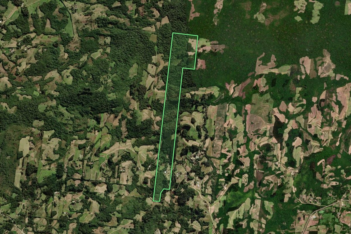 Imagem de satélite do imóvel rural em São Lourenço do Sul (RS), com o contorno declarado no CAR desenhado por cima.
