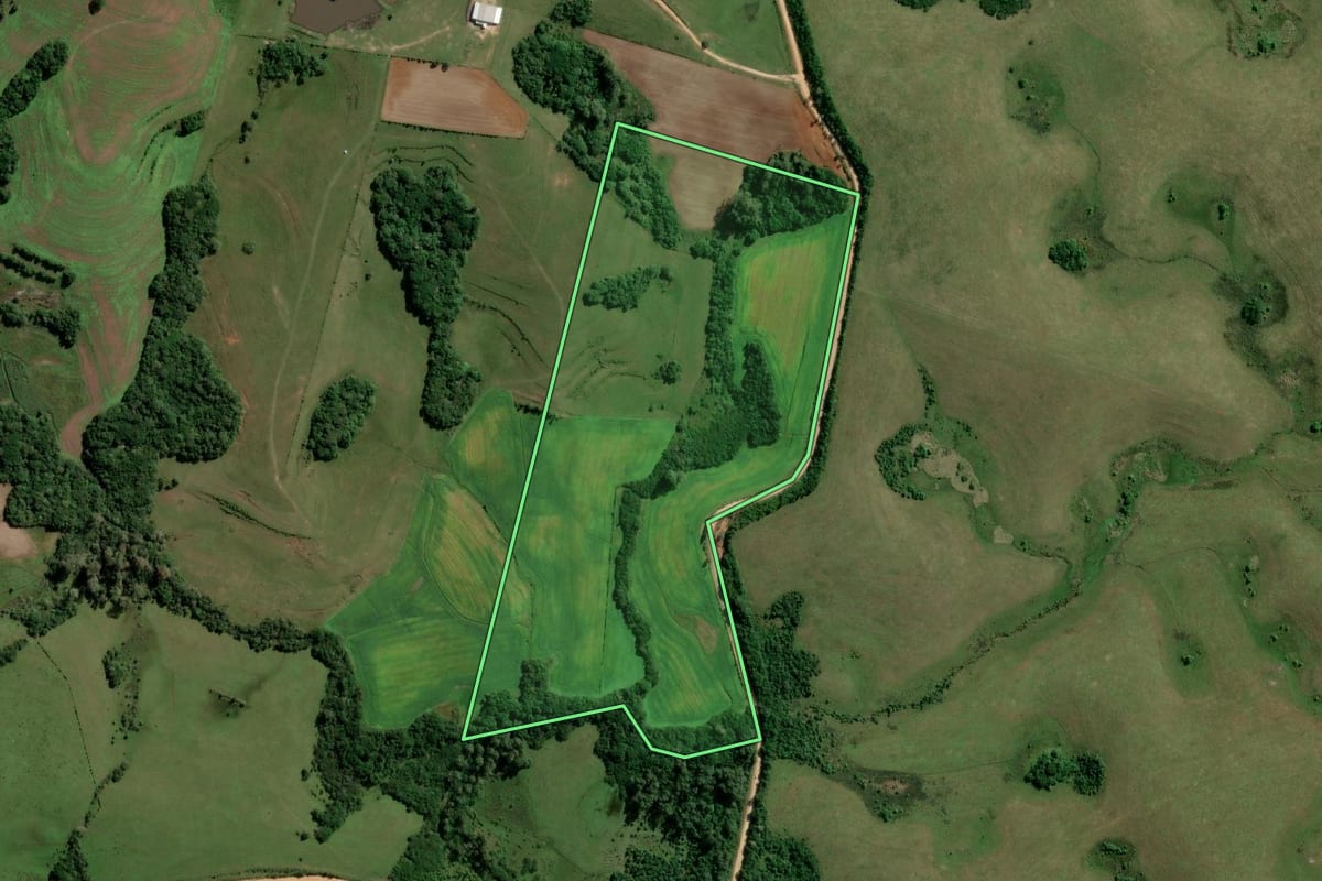 Imagem de satélite do imóvel rural em São Lourenço do Sul (RS), com o contorno declarado no CAR desenhado por cima.