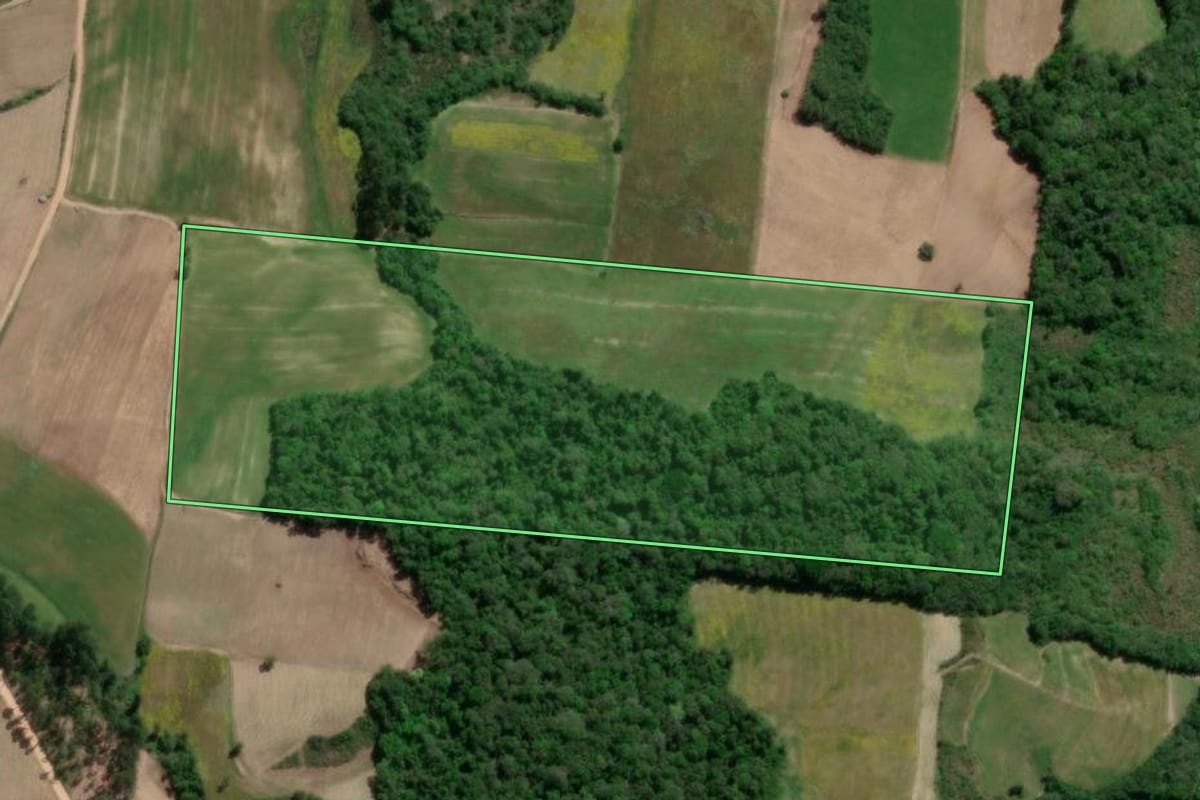 Imagem de satélite do imóvel rural em São Lourenço do Sul (RS), com o contorno declarado no CAR desenhado por cima.