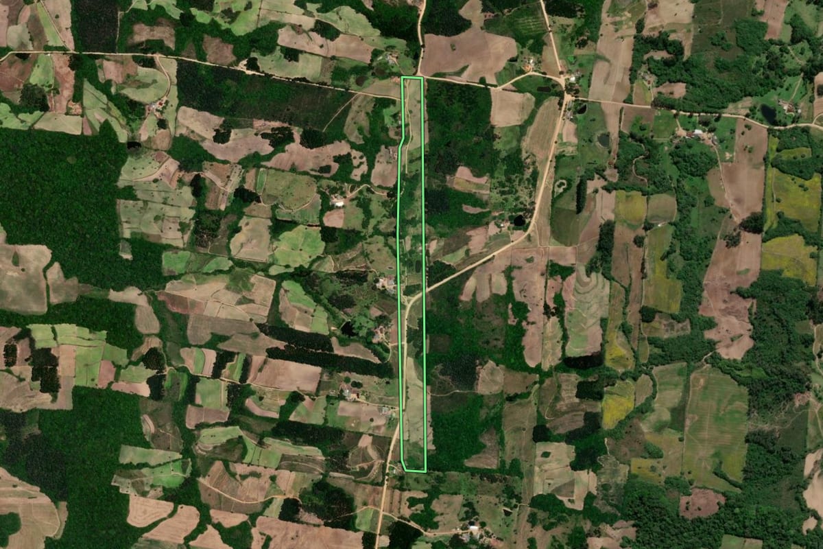 Imagem de satélite do imóvel rural em São Lourenço do Sul (RS), com o contorno declarado no CAR desenhado por cima.