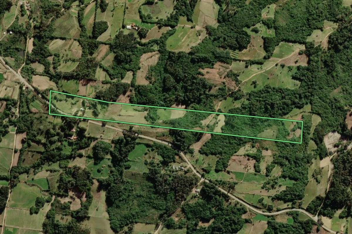 Imagem de satélite do imóvel rural em São Lourenço do Sul (RS), com o contorno declarado no CAR desenhado por cima.
