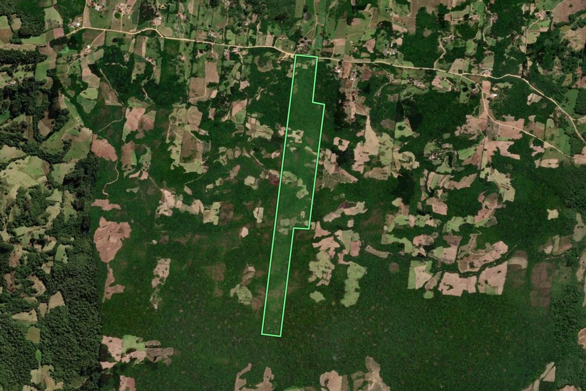 Imagem de satélite do imóvel rural em São Lourenço do Sul (RS), com o contorno declarado no CAR desenhado por cima.