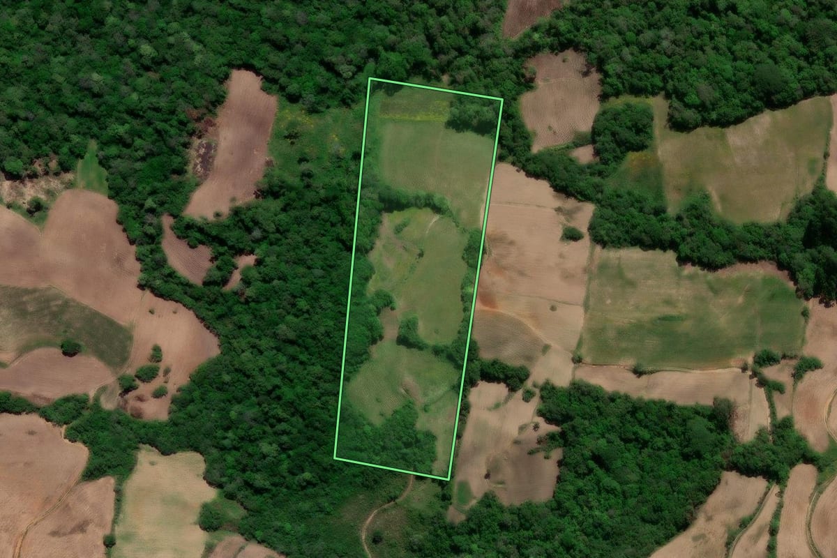 Imagem de satélite do imóvel rural em São Lourenço do Sul (RS), com o contorno declarado no CAR desenhado por cima.