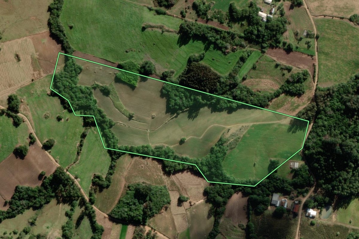 Imagem de satélite do imóvel rural em São Lourenço do Sul (RS), com o contorno declarado no CAR desenhado por cima.