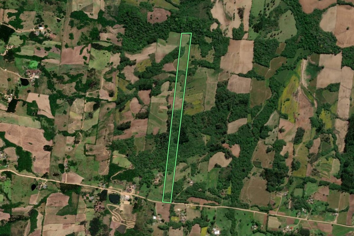 Imagem de satélite do imóvel rural em São Lourenço do Sul (RS), com o contorno declarado no CAR desenhado por cima.