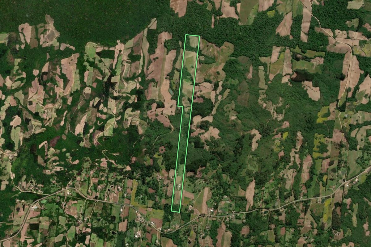 Imagem de satélite do imóvel rural em São Lourenço do Sul (RS), com o contorno declarado no CAR desenhado por cima.