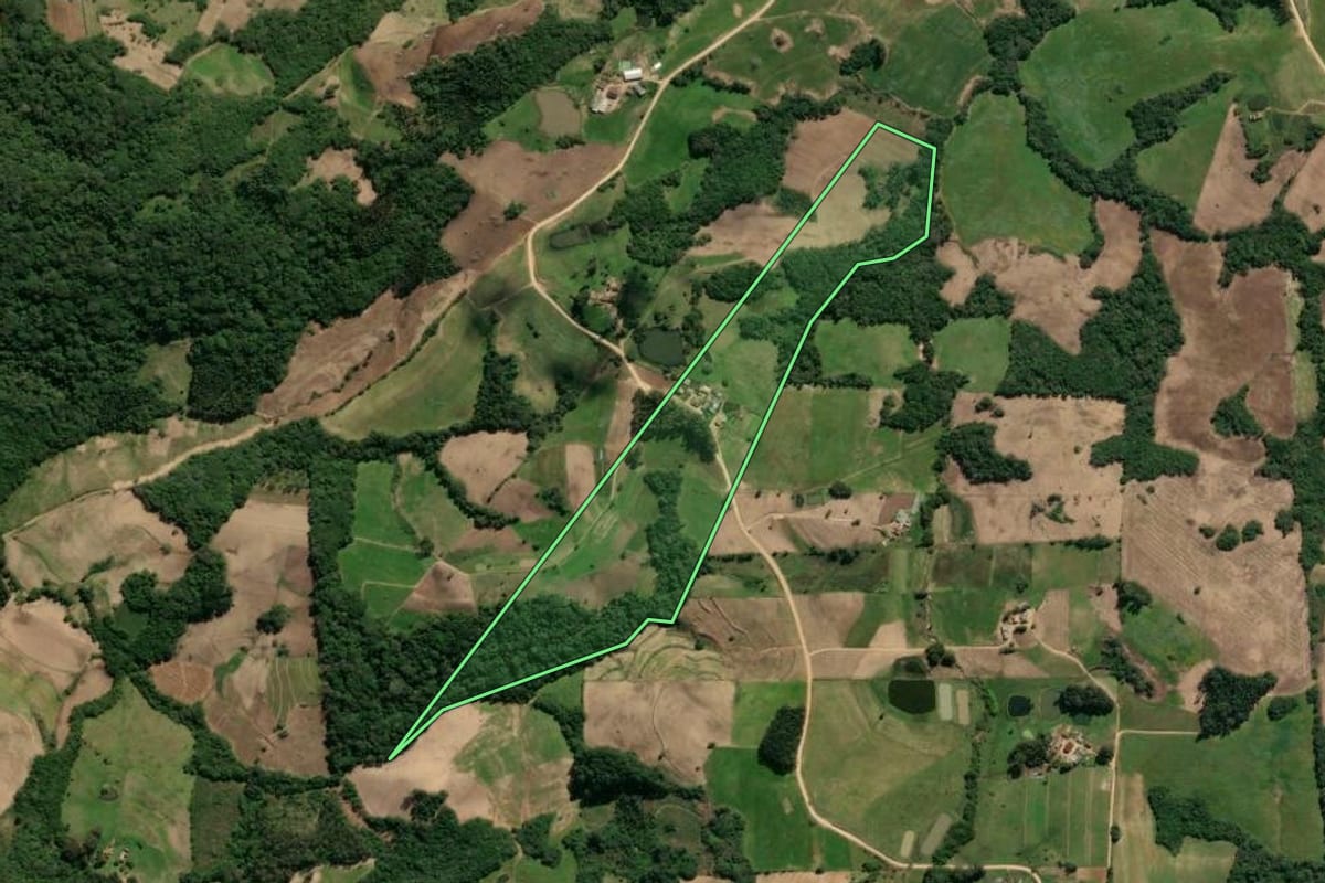 Imagem de satélite do imóvel rural em São Lourenço do Sul (RS), com o contorno declarado no CAR desenhado por cima.