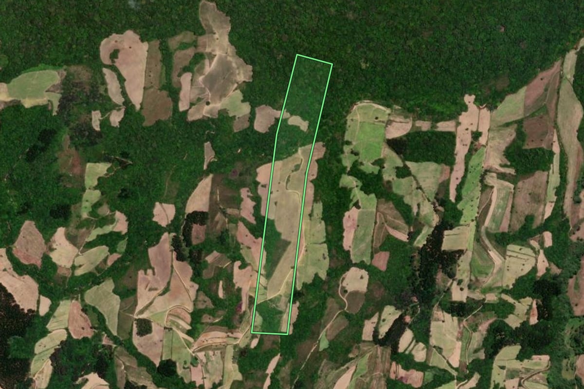 Imagem de satélite do imóvel rural em São Lourenço do Sul (RS), com o contorno declarado no CAR desenhado por cima.