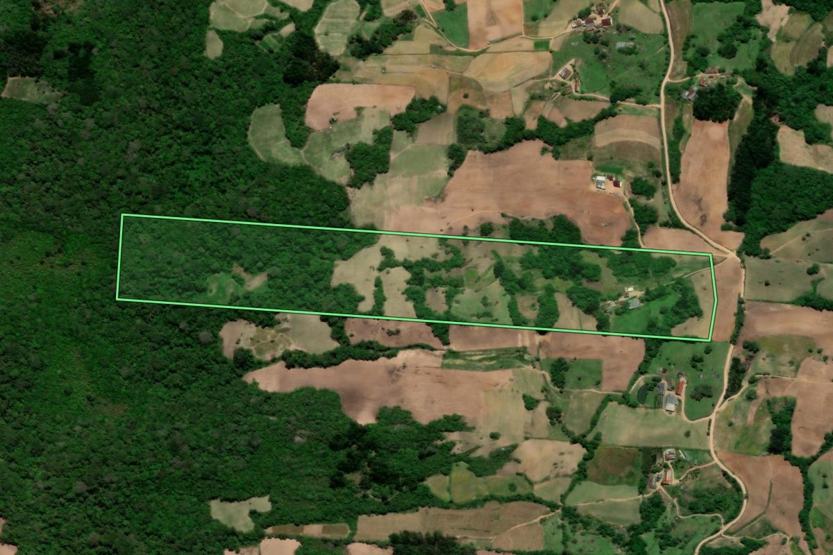 Imagem de satélite do imóvel rural em São Lourenço do Sul (RS), com o contorno declarado no CAR desenhado por cima.
