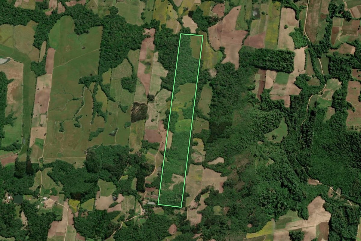 Imagem de satélite do imóvel rural em São Lourenço do Sul (RS), com o contorno declarado no CAR desenhado por cima.