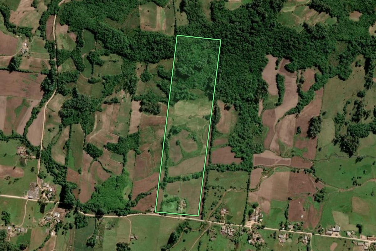 Imagem de satélite do imóvel rural em São Lourenço do Sul (RS), com o contorno declarado no CAR desenhado por cima.