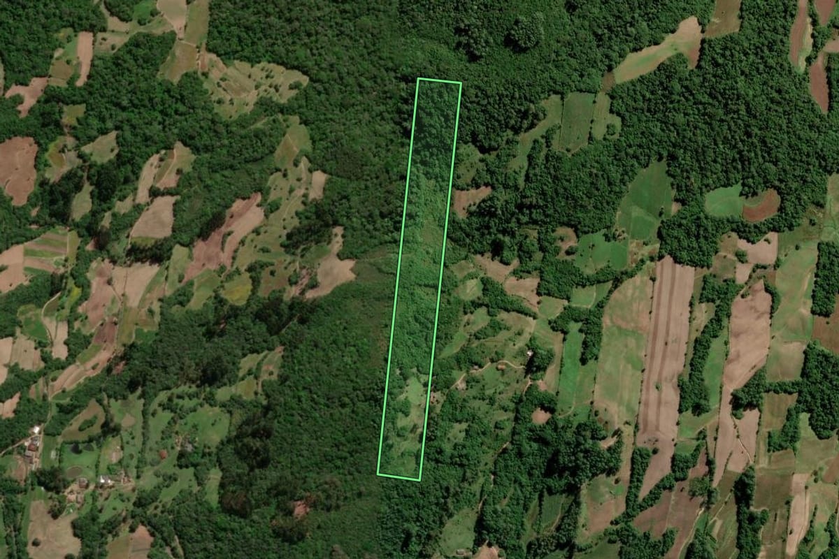 Imagem de satélite do imóvel rural em São Lourenço do Sul (RS), com o contorno declarado no CAR desenhado por cima.