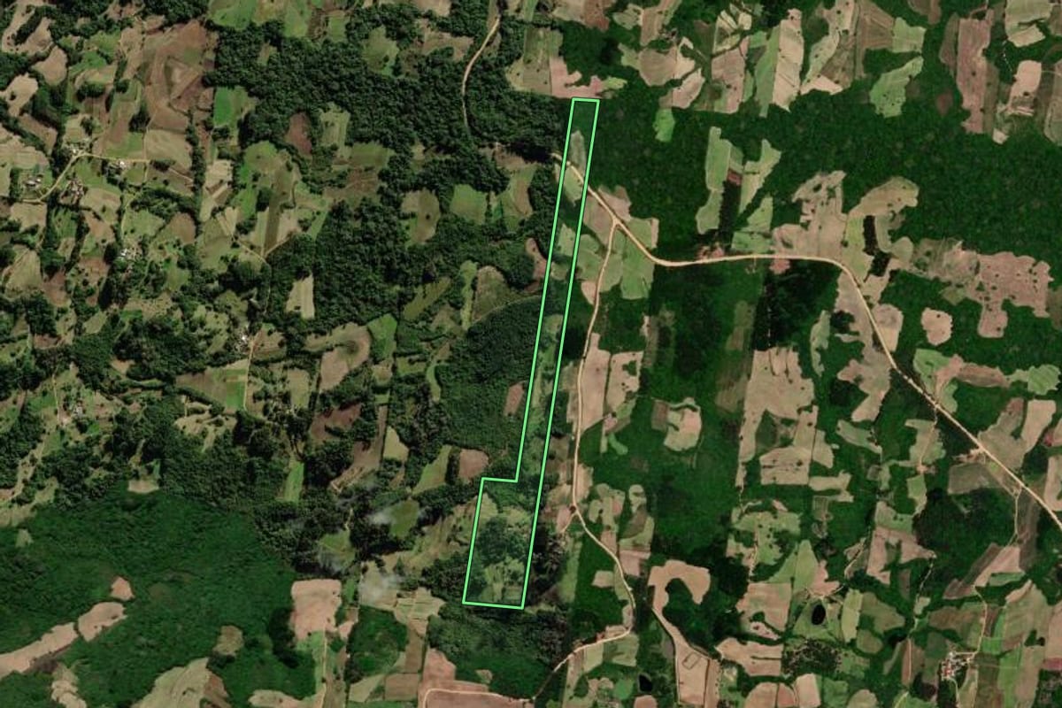 Imagem de satélite do imóvel rural em São Lourenço do Sul (RS), com o contorno declarado no CAR desenhado por cima.