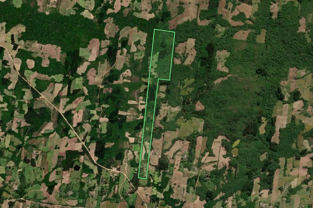 Imagem de satélite do imóvel rural em São Lourenço do Sul (RS), com o contorno declarado no CAR desenhado por cima.